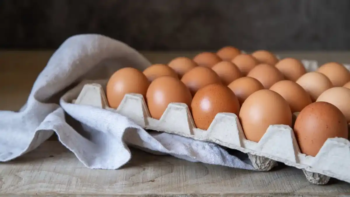 ¿Hay que guardar los huevos en la heladera? Qué dicen los expertos