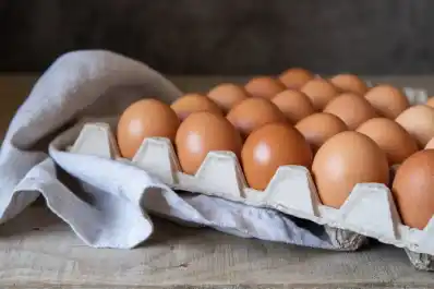 ¿Hay que guardar los huevos en la heladera? Qué dicen los expertos