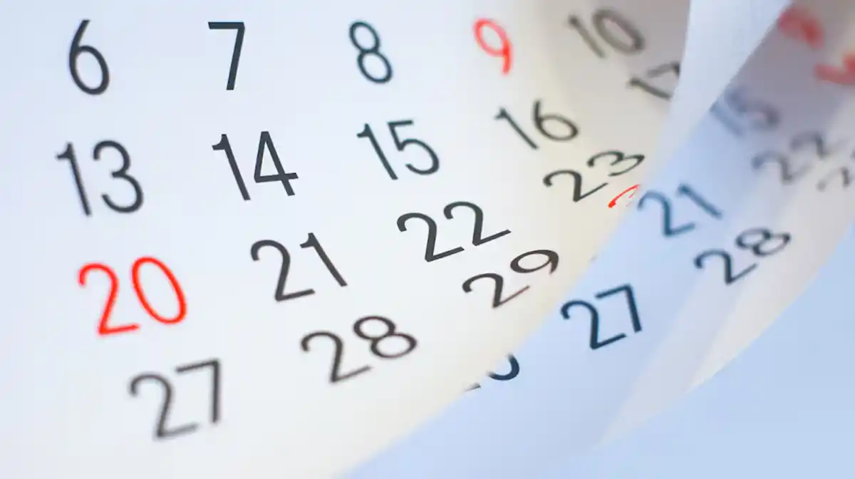 Cuándo es el próximo feriado en Argentina después del 17 de agosto: ¿viene un fin de semana largo?