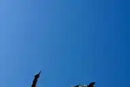 Cuando San Martín instó a los tucumanos a ser patriotas y fraternos