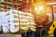 Dato inédito en la zafra 2025: el precio del azúcar en Argentina es inferior al de Brasil