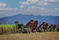 Acuerdo Argentina-EEUU: en el agro celebraron con precaución a la espera de la letra chica