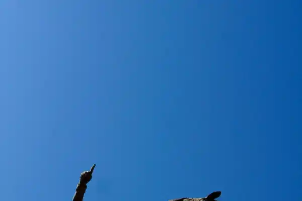 Cuando San Martín instó a los tucumanos a ser patriotas y fraternos