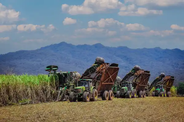 Acuerdo Argentina-EEUU: en el agro celebraron con precaución a la espera de la letra chica