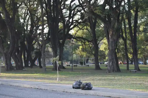 Del basural al festejo limpio: el Día del Niño dejó otra postal en el parque 9 de Julio