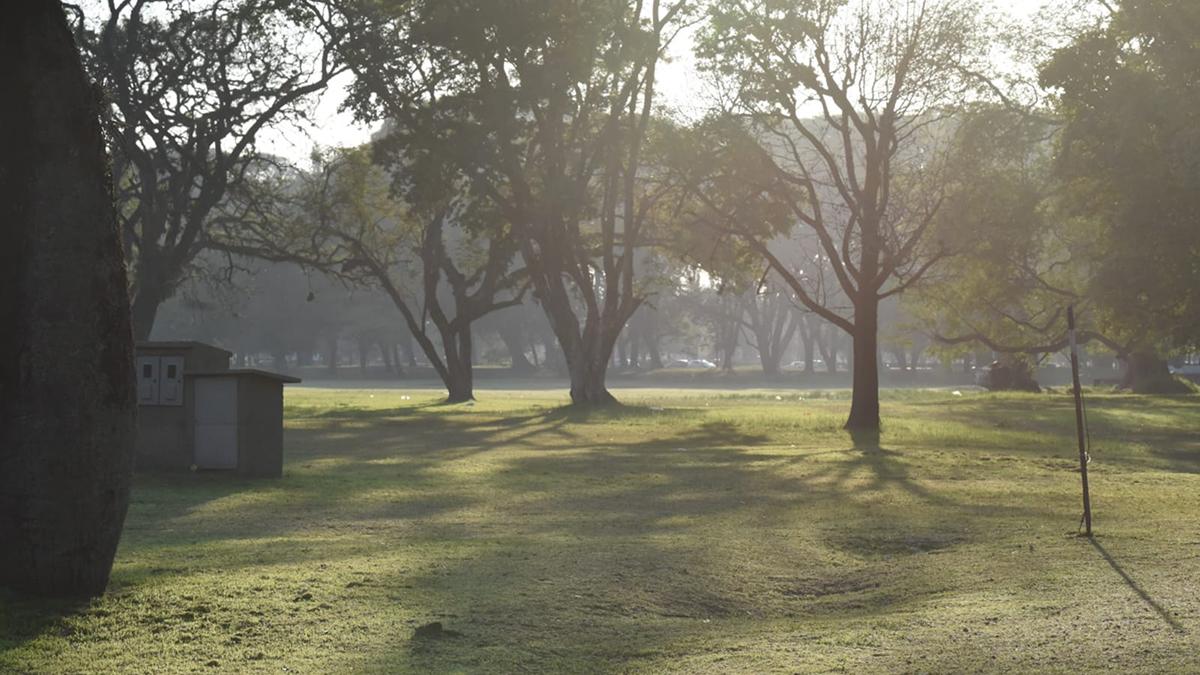 Limpieza en el Parque 9 de Julio. FOTO ANALÍA JARAMILLO. LA GACETA