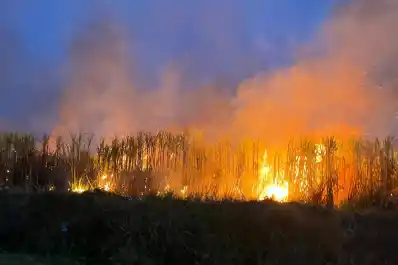 Sofocaron cinco incendios en cañaverales en menos de cuatro horas