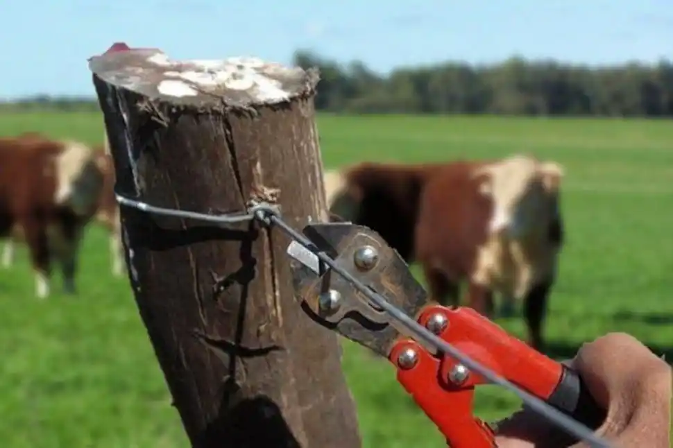 PREOCUPACIÓN. Los productores advirtieron sobre un incremento de los casos de abigeato en la provincia.