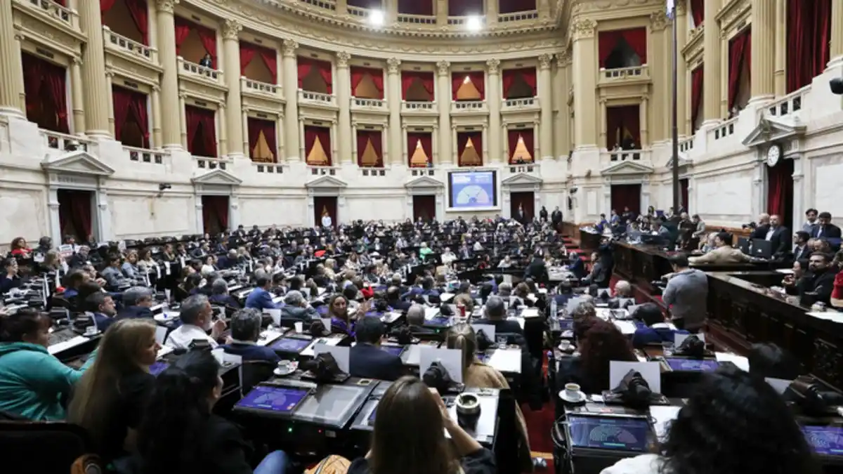 Revés para el Gobierno: Diputados rechazó el veto de Milei a la Ley de Emergencia en Discapacidad