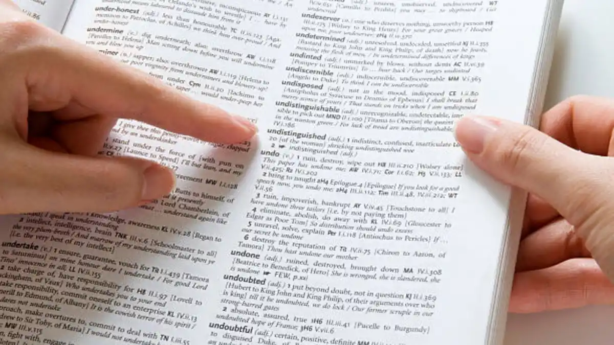 Skibidi, tradwife y delulu: las nuevas palabras que sumó el diccionario de Cambridge