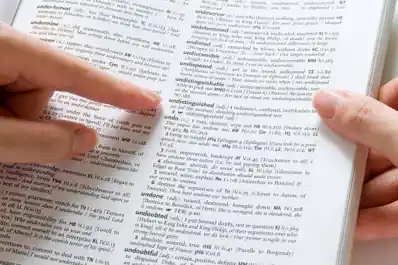 Skibidi, tradwife y delulu: las nuevas palabras que sumó el diccionario de Cambridge