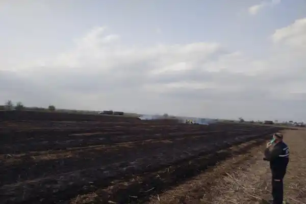 Quema de cañaverales y pastizales: investigarán a dueños o arrendatarios de campos