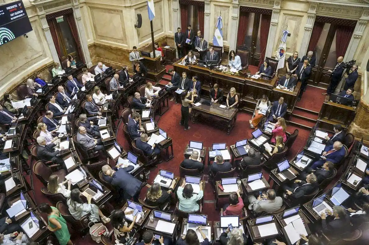 Los senadores, en plena sesión. 
