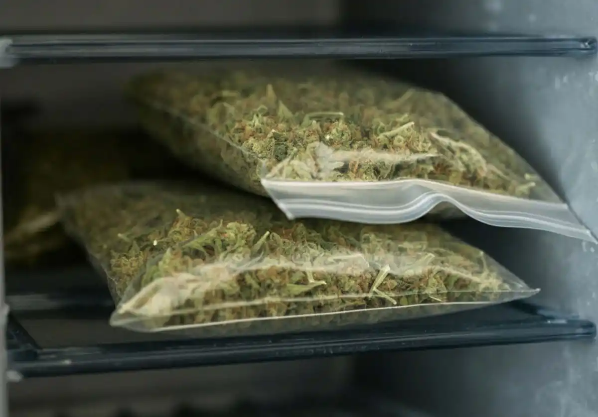 Operativo en Yerba Buena: un policía fue detenido con 1 kilogramo de marihuana