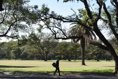Contaminación del aire en Tucumán: los niveles superaron hasta siete veces lo recomendado por la OMS