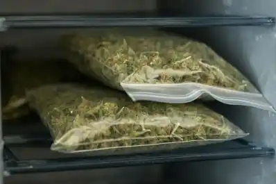 Operativo en Yerba Buena: un policía fue detenido con 1 kilogramo de marihuana