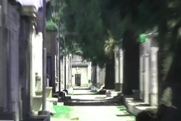 Reinician la búsqueda de desaparecidos en el Cementerio del Norte: “La tarea no tiene fin hasta identificar a las víctimas”