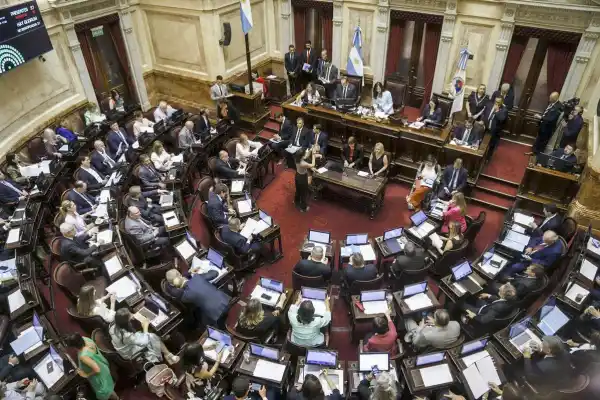 Los sueldos de los senadores volverán a aumentar en noviembre: cobrarán más de $10 millones en bruto
