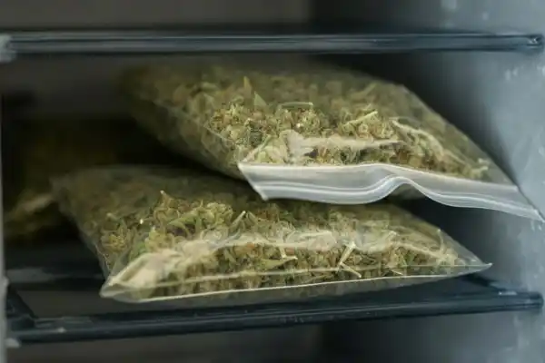 Operativo en Yerba Buena: un policía fue detenido con 1 kilogramo de marihuana