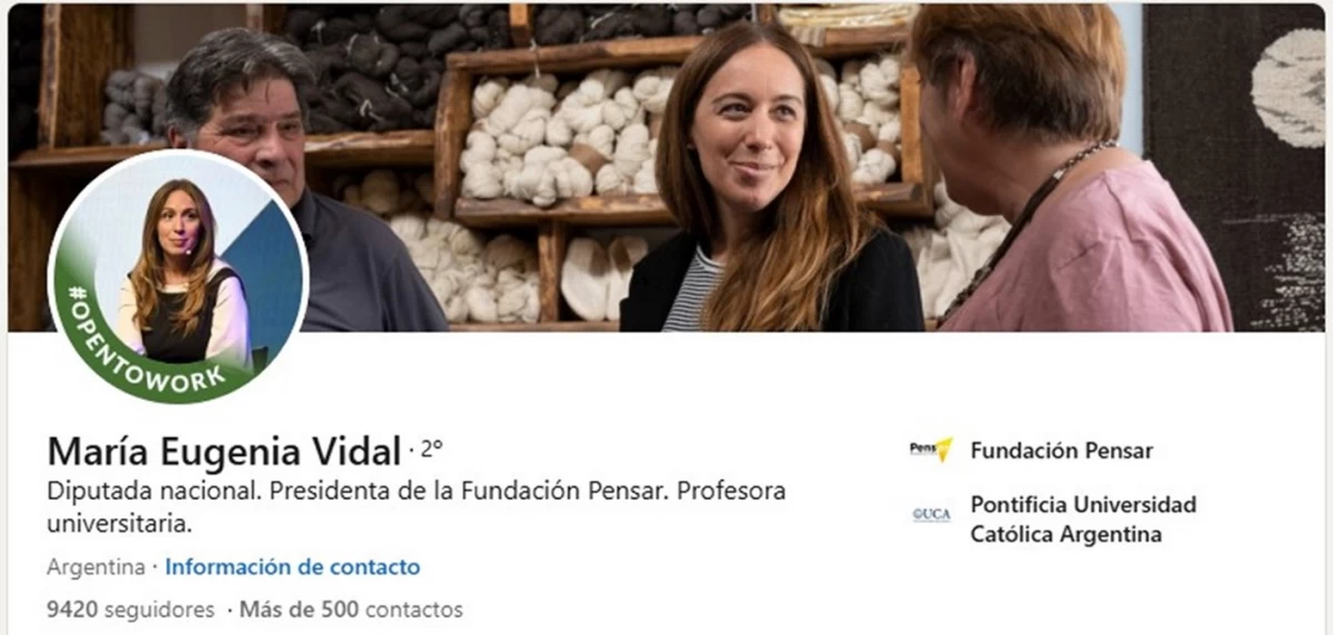LINKEDIN. La diputada actualizó su perfil con el distintivo “Open to Work”