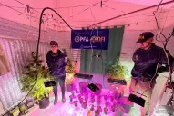 Desbarataron centro de cultivo y venta de marihuana y cocaína en plena ciudad de La Banda
