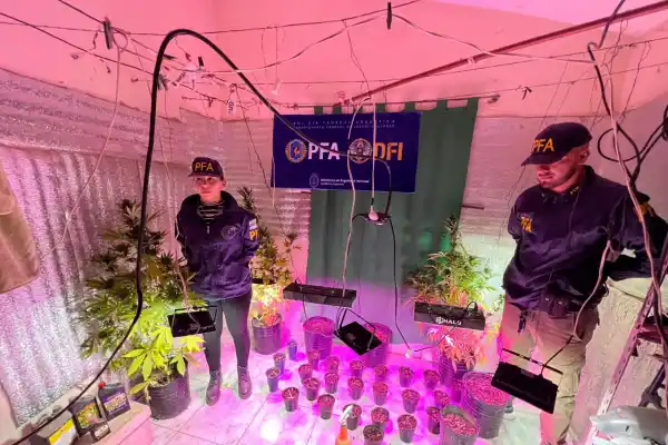 Desbarataron centro de cultivo y venta de marihuana y cocaína en plena ciudad de La Banda