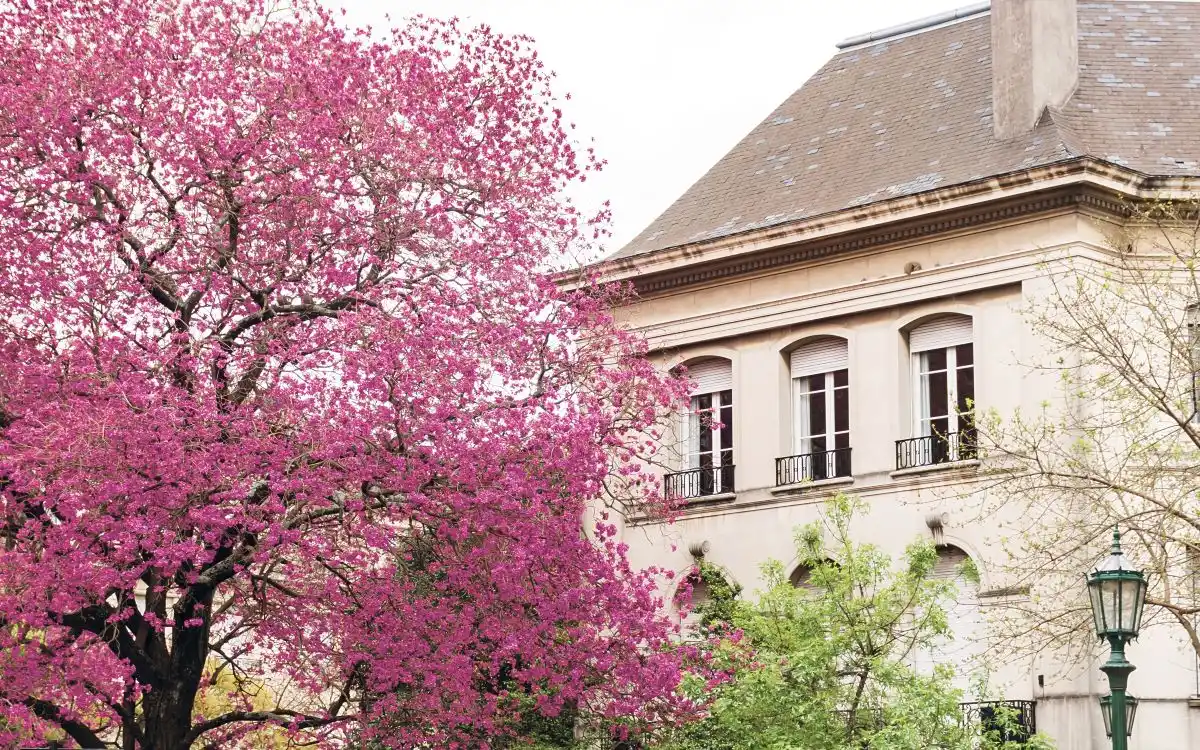 La tucumana que hizo florecer Buenos Aires: Karina Azaretzky