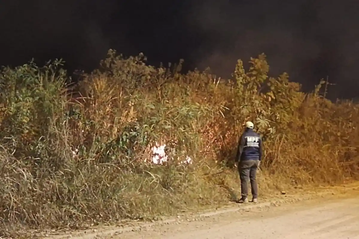 Alarma en San Andrés por varios incendios en un cañaveral cercano al barrio UPCN