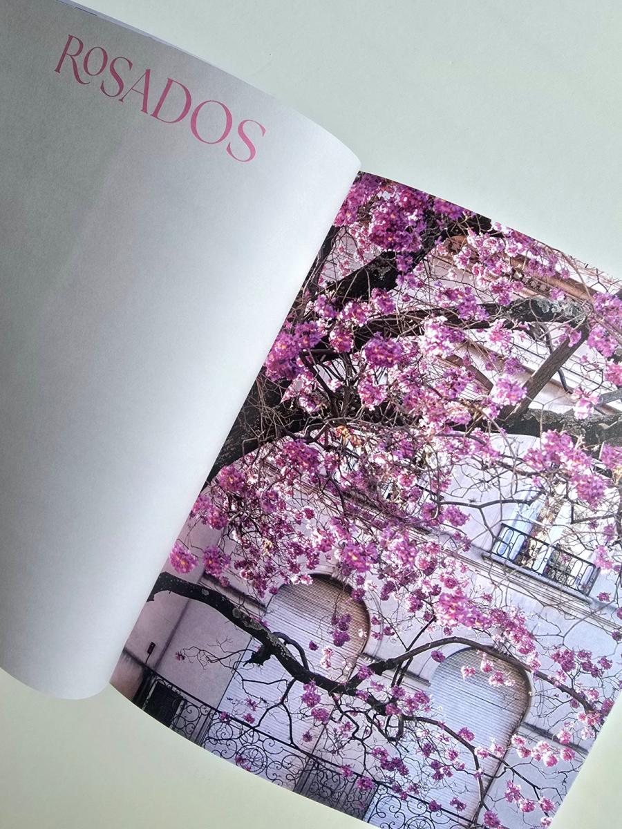 La tucumana que hizo florecer Buenos Aires: Karina Azaretzky