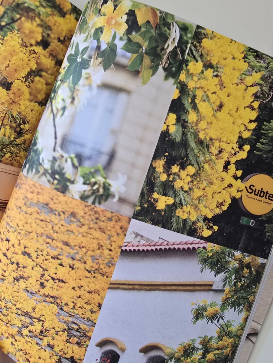 La tucumana que hizo florecer Buenos Aires: Karina Azaretzky