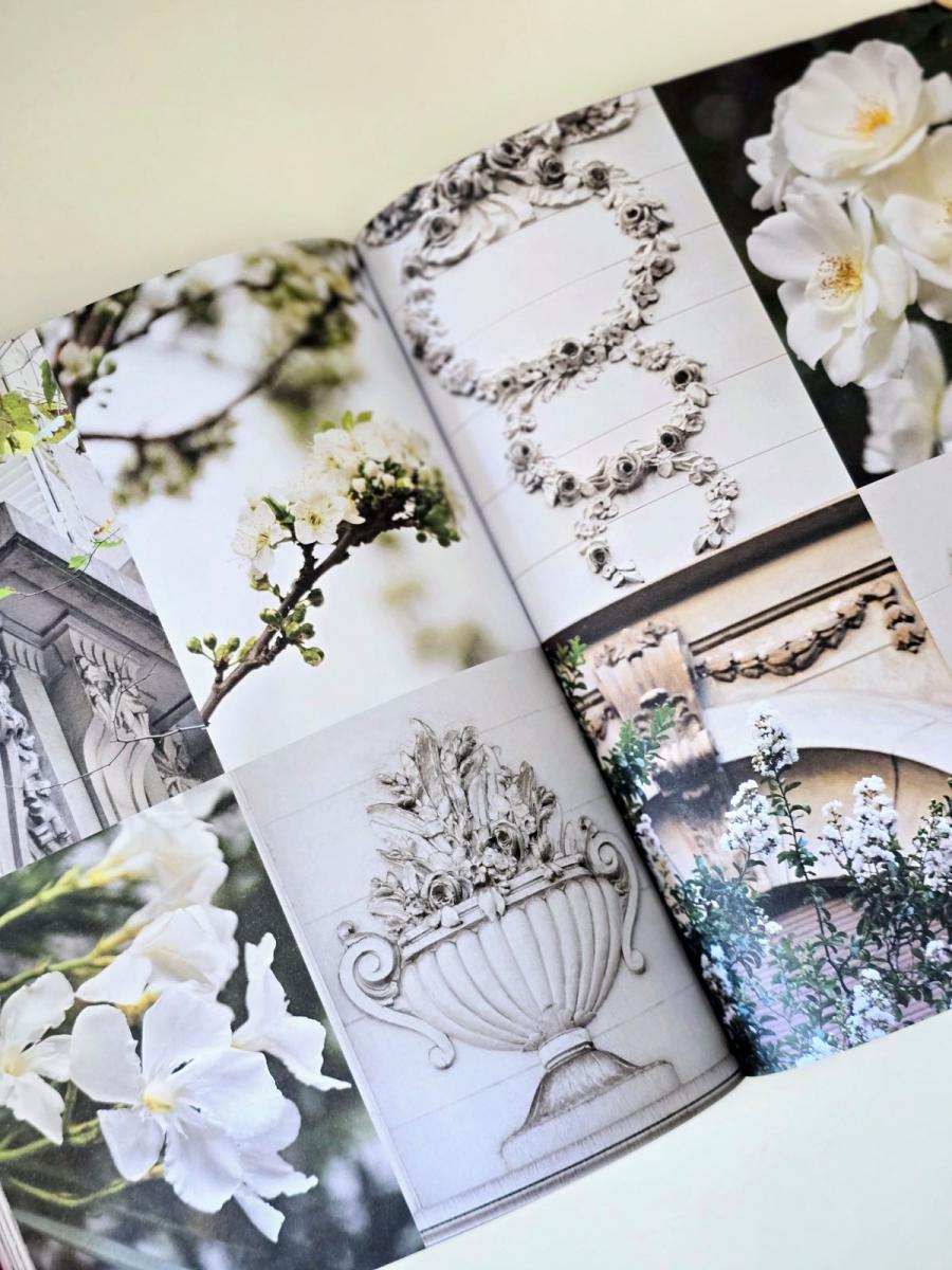 La tucumana que hizo florecer Buenos Aires: Karina Azaretzky