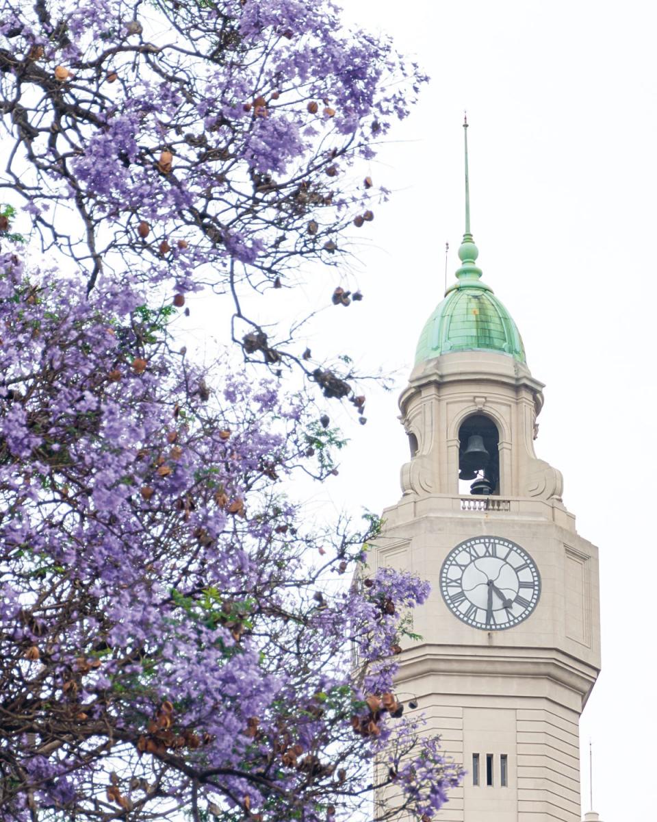 La tucumana que hizo florecer Buenos Aires: Karina Azaretzky