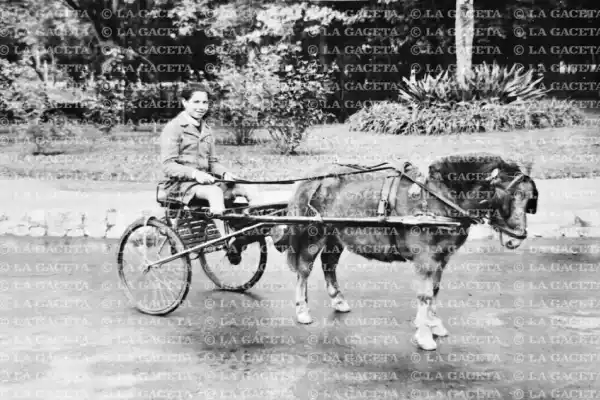 Recuerdos fotográficos: 1943. Habilitan sulkys con caballos petisos en el parque
