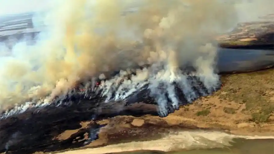 Recorte sobre el cuidado del ambiente: los fondos bajaron hasta un 80%