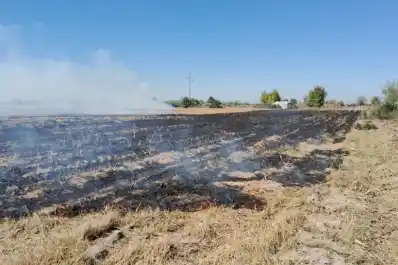 Se registraron cuatro incendios de cañaverales