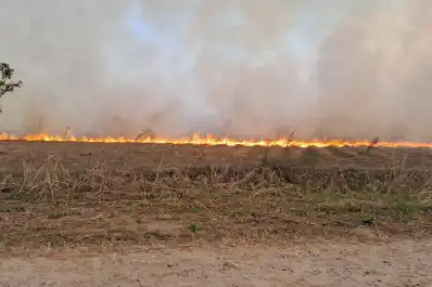 Incendio de pastizales y cañaverales en Río Colorado: una denuncia telefónica evitó que el fuego alcanzara viviendas del barrio 20 de Junio