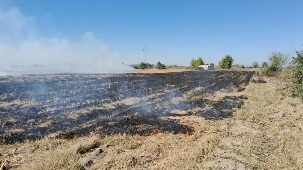 Se registraron cuatro incendios de cañaverales