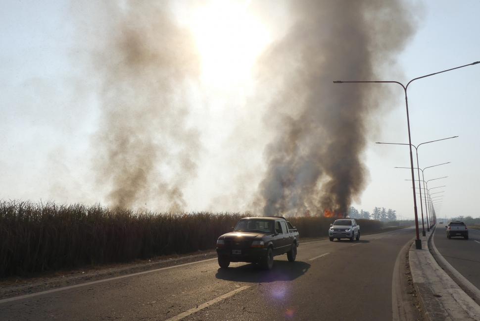 El Ministerio Público Fiscal abrió más de una veintena de causas por las quemas quemas de cañaverales y pastizales