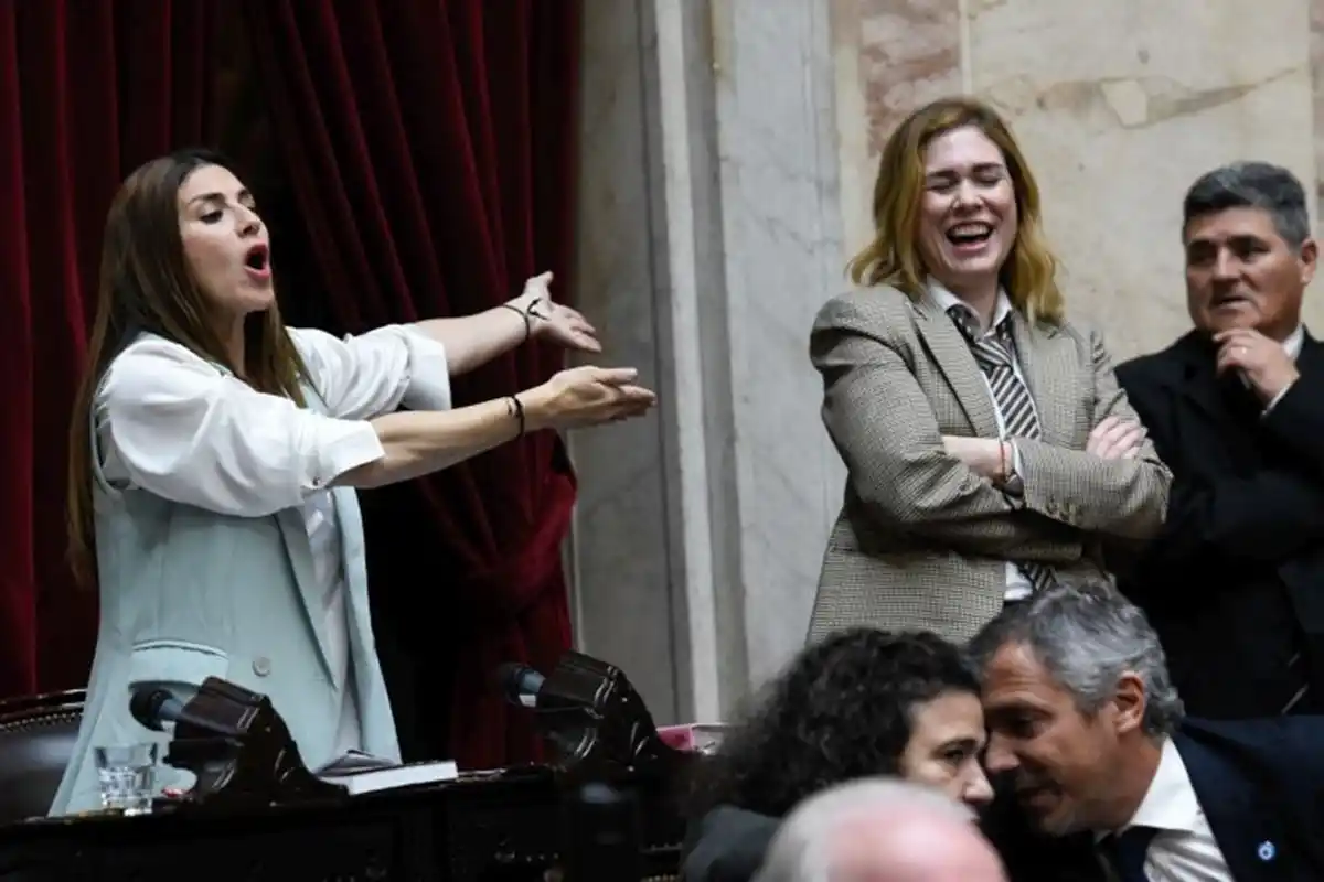 Escándalo en Diputados: celulares, gritos y acusaciones en la pelea entre Lilia Lemoine y Marcela Pagano