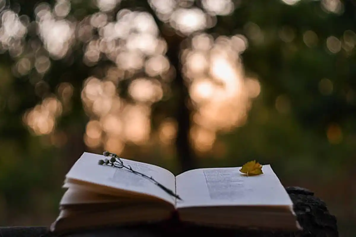 ESCRIBIR SOBRE NATURALEZA. Nature Poetry Competition 2025 invita a adolescentes a explorar emociones y paisajes a través de la poesía. / UNSPLASH