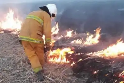 Se registraron 32 denuncias por incendios de cañaverales, pastizales y basurales
