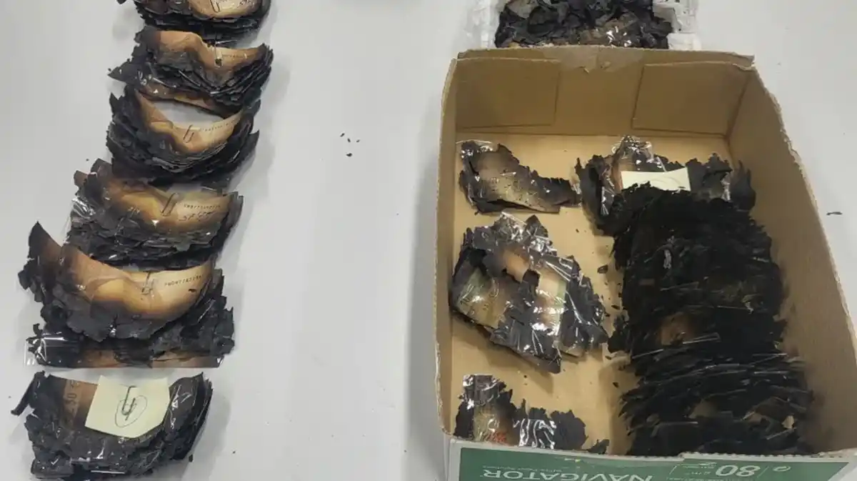 Los afectados por los fuegos pueden canjear los billetes deteriorados en el Banco de España