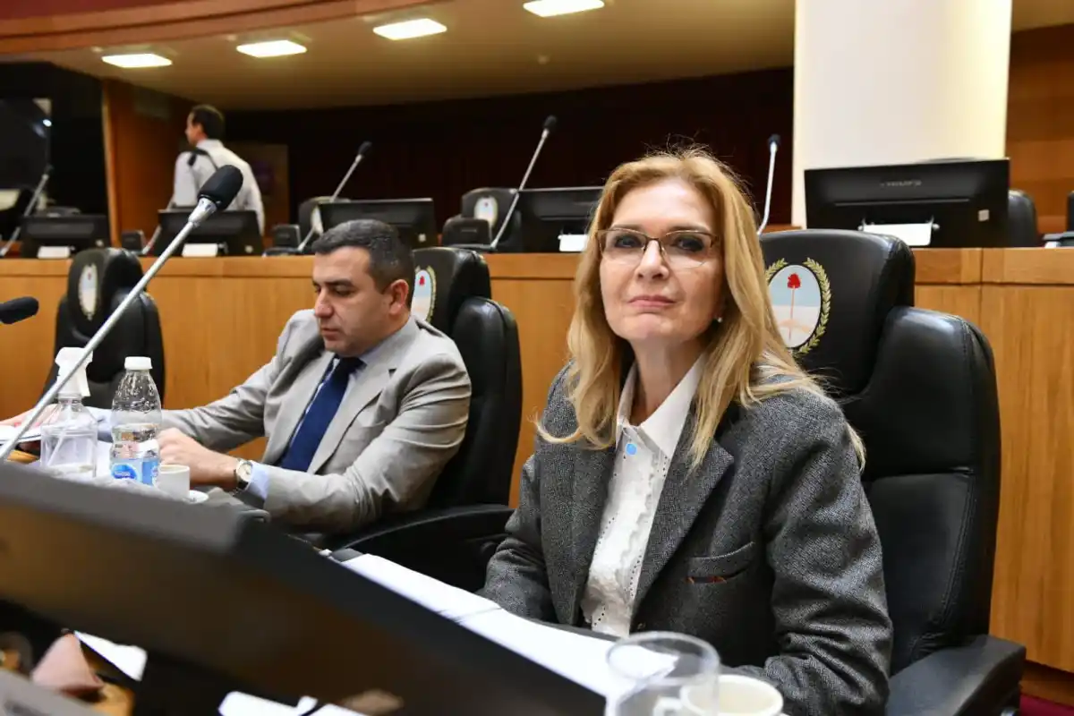 Legisladora Silvia Elías de Pérez.
