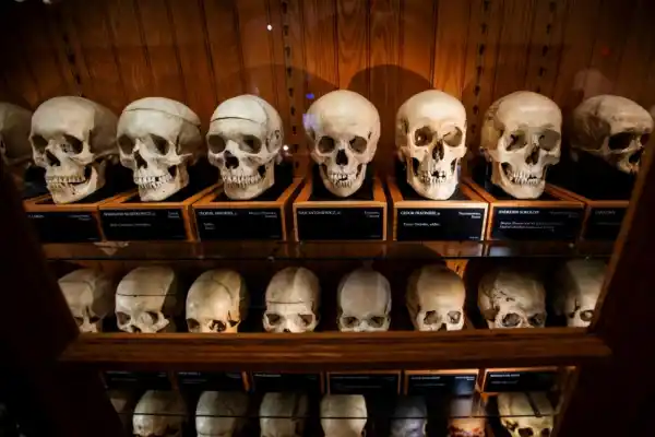 El debate ético de un museo en Estados Unidos