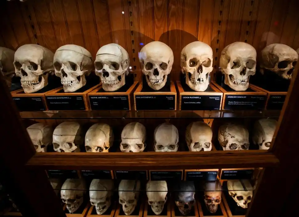 CRÁNEOS. Hay 139 en exposición.