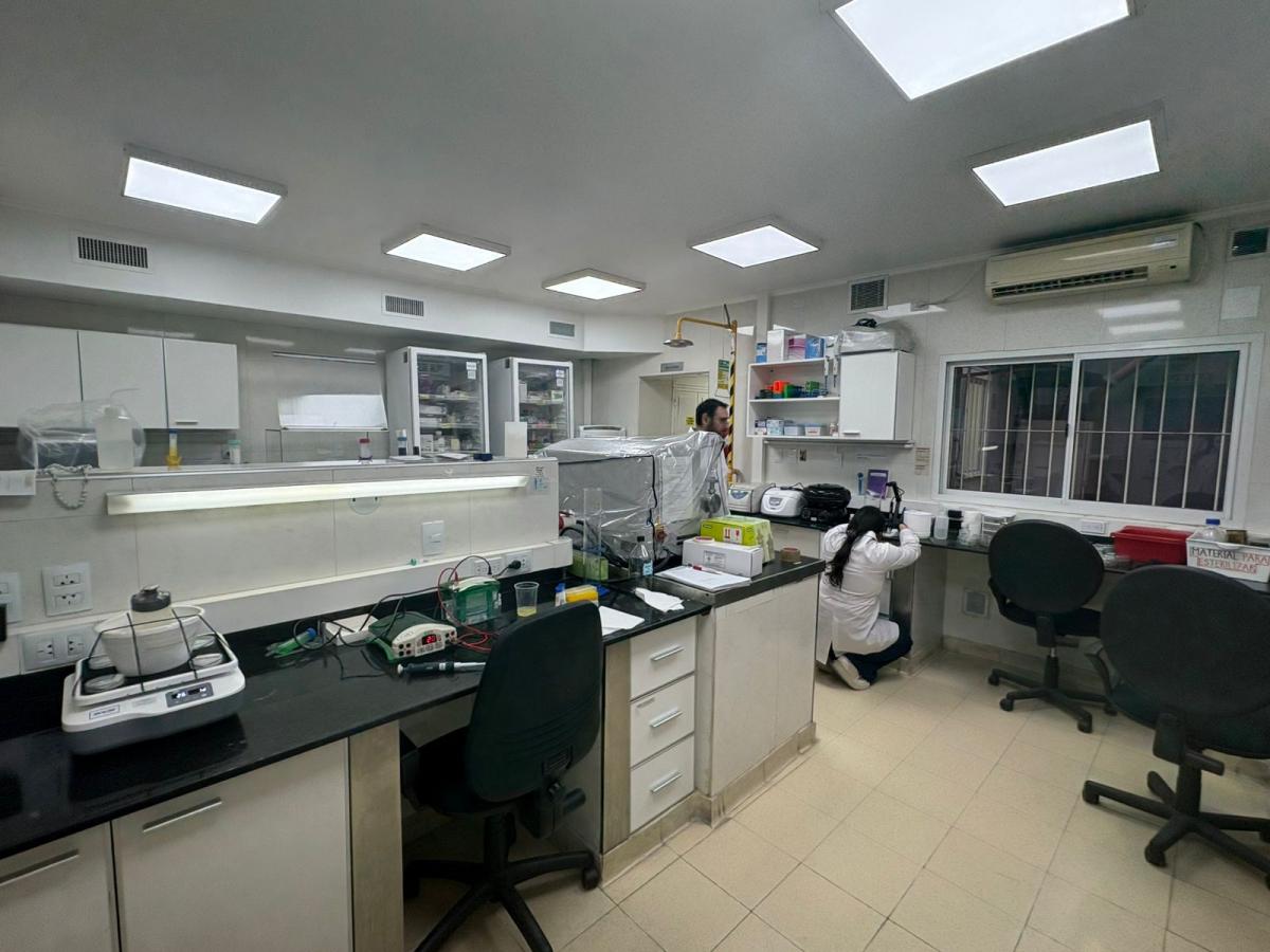 EN EL LABORATIO. Durante varias horas, los estudiantes comparten su pasión por investigar. / VICTORIA REINOSO, LA GACETA.