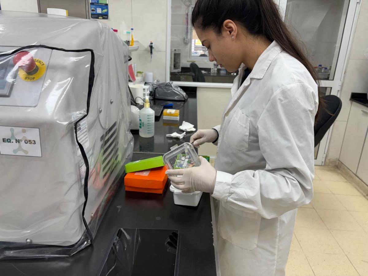 TRABAJO DE BECARIA. Ariadna Araceli Chacón (25, sexto año de Bioquímica), quien vino desde Jujuy para estudiar y ya se siente tucumana, investiga el Parkinson gracias a una Beca CIN. / VICTORIA REINOSO, LA GACETA