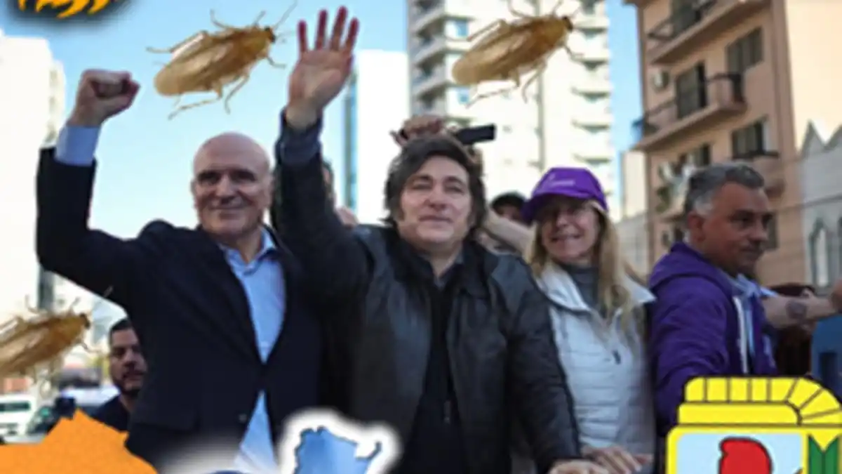 El análisis de Jorge Asís: aciertos del Fenómeno Milei en la democracia compulsiva