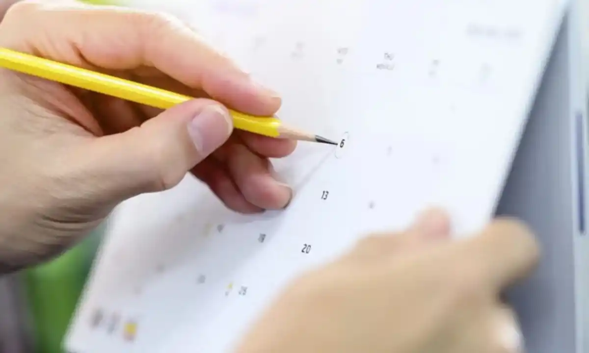 Qué pasará con los feriados que caen fin de semana: el Gobierno definió el calendario 2025