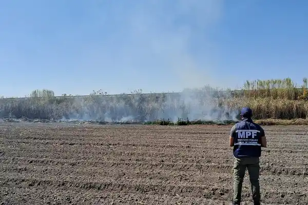 No paran las quemas de cañaverales y pastizales: aprehendieron a cuatro personas
